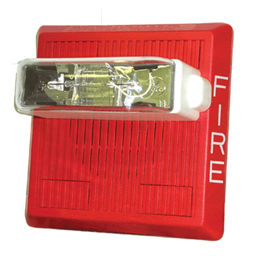 Bosch MT-121575W-FR 12VDC CD Multitone Electronic Appliance, Red MT-121575W-FR by Bosch