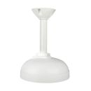 Digital Watchdog DWC-PZCM Ceiling Mount Bracket for DWC-PZV2M72T