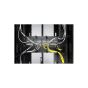 APC AR7707 NetShelter Cable Management, Vertical Cable Manager, Rings, for NetShelter AR7707 by APC
