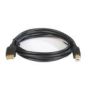 AVE 106180 6 ft DB9 Extenstion Cable 106180 by AVE