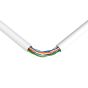 Ganz CAT5E Wire (1000 ft.), white CAT5E by Ganz