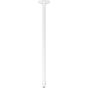 Axis 01189-001 T91B53 Telescopic Ceiling Mount 01189-001 by Axis