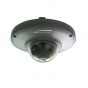 Speco HTMD1H 700 TVL 960H Dual Voltage Indoor/Outdoor Miniature Dome Camera, 3.6mm Lens HTMD1H by Speco