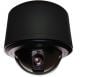 Pelco SD429-PB-1-X 540 TVL Analog Clear Indoor / Outdoor Dome Camera, 29X, PAL, Black SD429-PB-1-X by Pelco