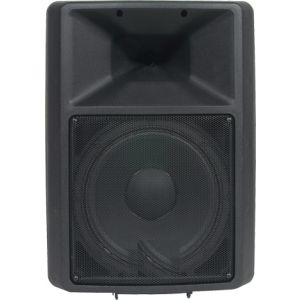 Bosch SX100+E 12" Passive Loudspeaker