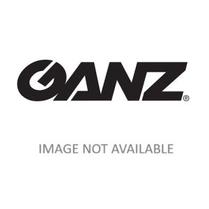 Ganz ZNS-NE-G1CH Upgrade to Additional Premium Lifetime Support & Updates Plan for 1 Channel of Global
