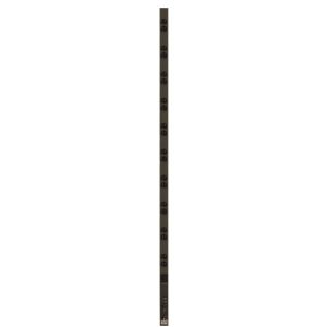 Peerless PDU6620N-20-120P1-2010NSP Vertical Surge Protection
