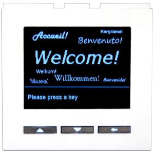 Alpha DBM40W Display Module Digitdial, White