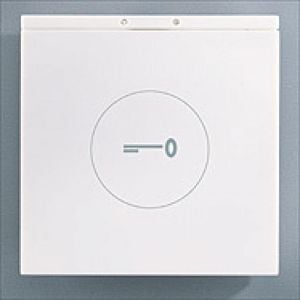 Alpha ESMW Proximity Panel Module Only, White