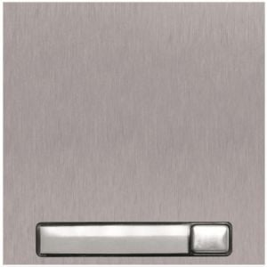 Alpha NX3110 1 Button NEXA Panel Module, Stainless Steel