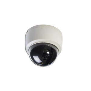 Ganz ZN1A-D4FN5 2 Megapixel Indoor Network Dome Camera, 4mm Lens